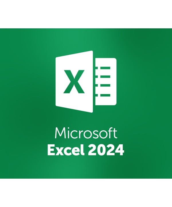 MS Excel 2024 Retail Key GLOBAL